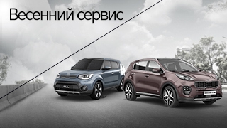 ���� ������. ������ 35%.