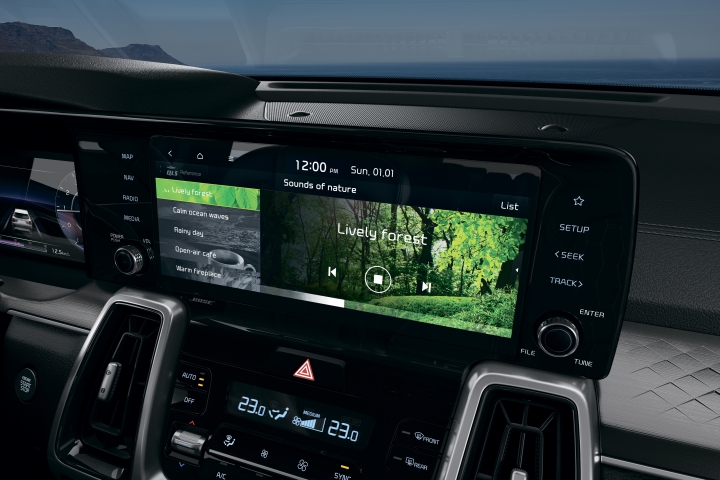 Мультимедийная система Мультимедийная система